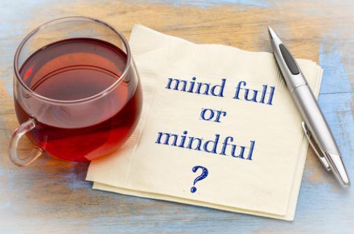 Mindfulness for Nonprofit Professionals image